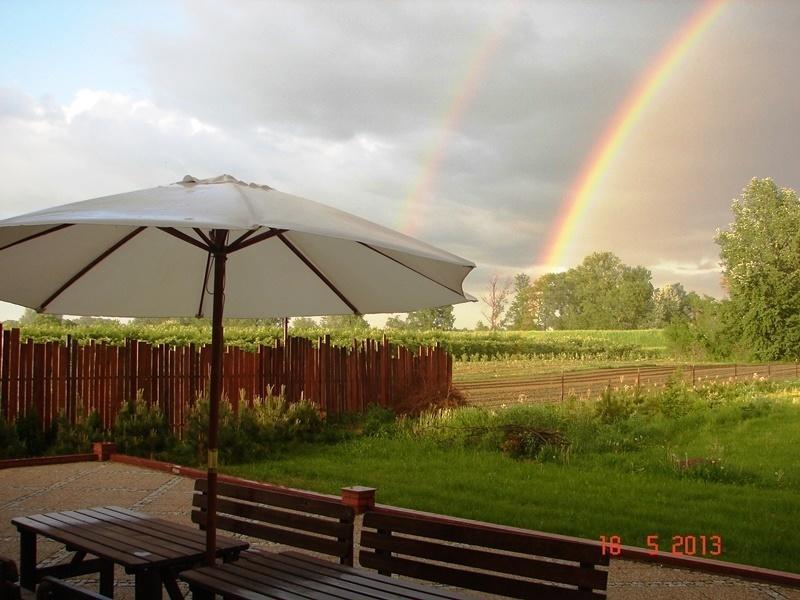Gosciniec Kocmierzow Bed & Breakfast Sandomierz Eksteriør bilde